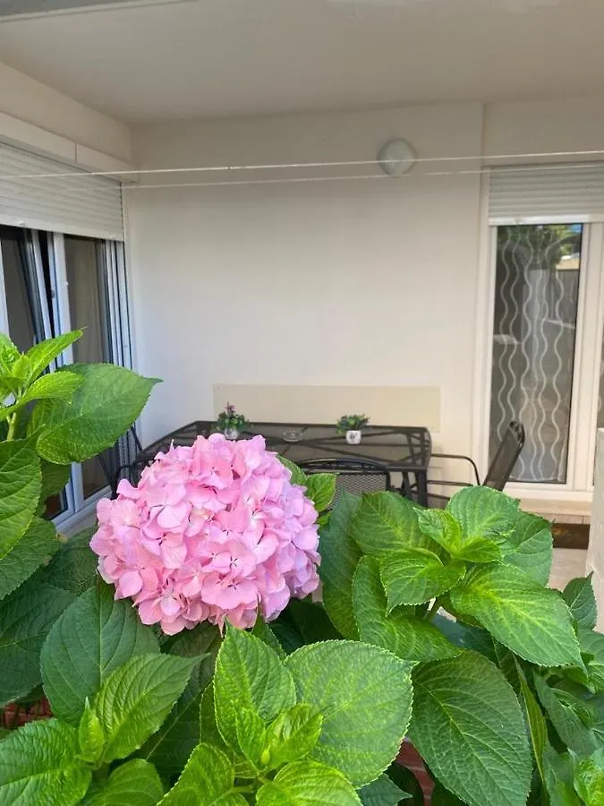 Hortensija Split Apartment